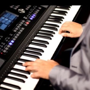 Medeli Dante Tr Xt Org