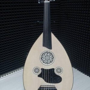 Kesik Kasa Equalizerli Ud