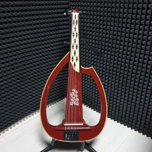 İskelet Kasa Elektro Ud